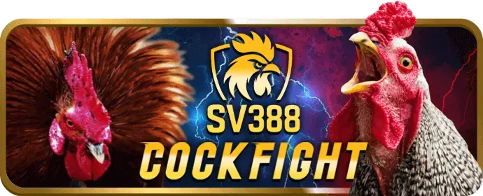 VIP Bạc 11uu khuyến mãi